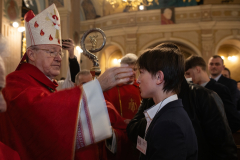 1D118755-D34E-4285-AF53-34071540FF97