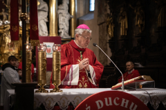 8793F065-79B7-4CB7-A0CE-55B64BC00812