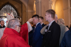 D2CED633-A783-4273-AD23-97B6D709072C