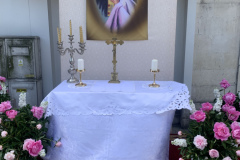 5353E239-641E-4FFB-BA58-318B3246E732