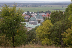 IMG_6401