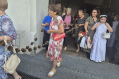 att.1Khs6ZBpNouQsakZWP3za_vnYsPc3sj9pSnlOGqOIjI